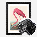Black Ornate Frame