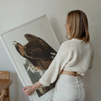 Golden Eagle Vintage Antique Bird Print