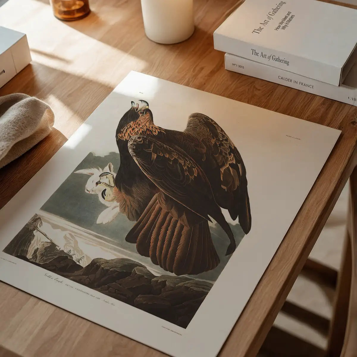 Golden Eagle Vintage Antique Bird Print