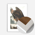 White Wood Frame
