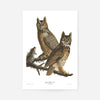 Great Horned Owl Vintage Antique Bird Print