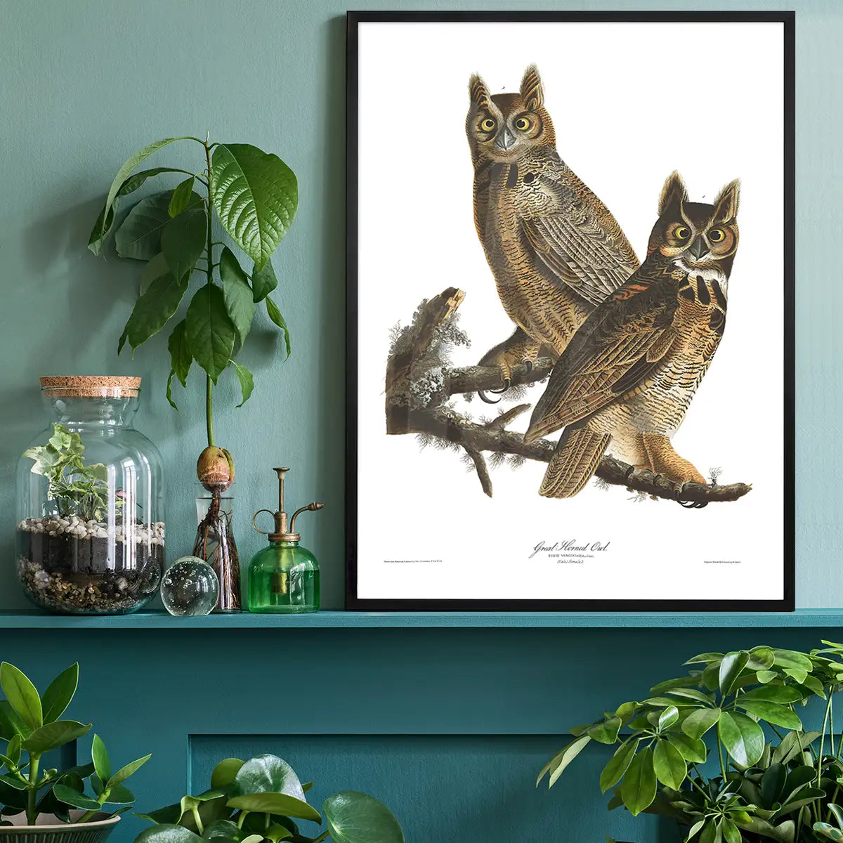 Great Horned Owl Vintage Antique Bird Print