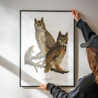Great Horned Owl Vintage Antique Bird Print