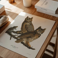 Great Horned Owl Vintage Antique Bird Print