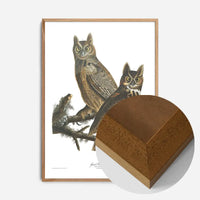 Great Horned Owl Vintage Antique Bird Print