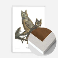 Great Horned Owl Vintage Antique Bird Print