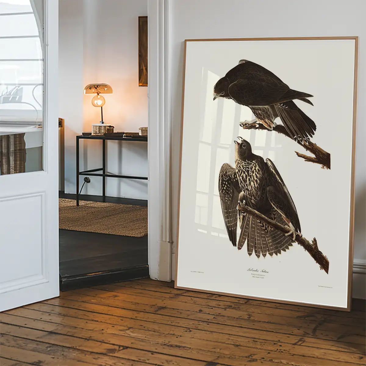 Labrador Falcon Vintage Antique Bird Print