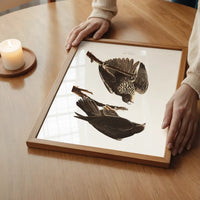 Labrador Falcon Vintage Antique Bird Print