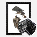 Black Ornate Frame