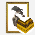 Gold Ornate Frame