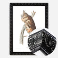Black Ornate Frame