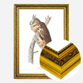 Gold Ornate Frame