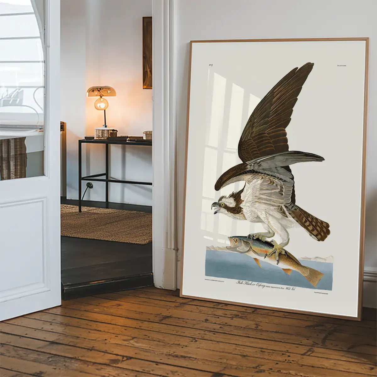 Fish Hawk Vintage Antique Bird Print
