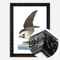 Black Ornate Frame