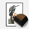 Black Wood Frame