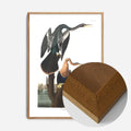 Oak Wood Frame