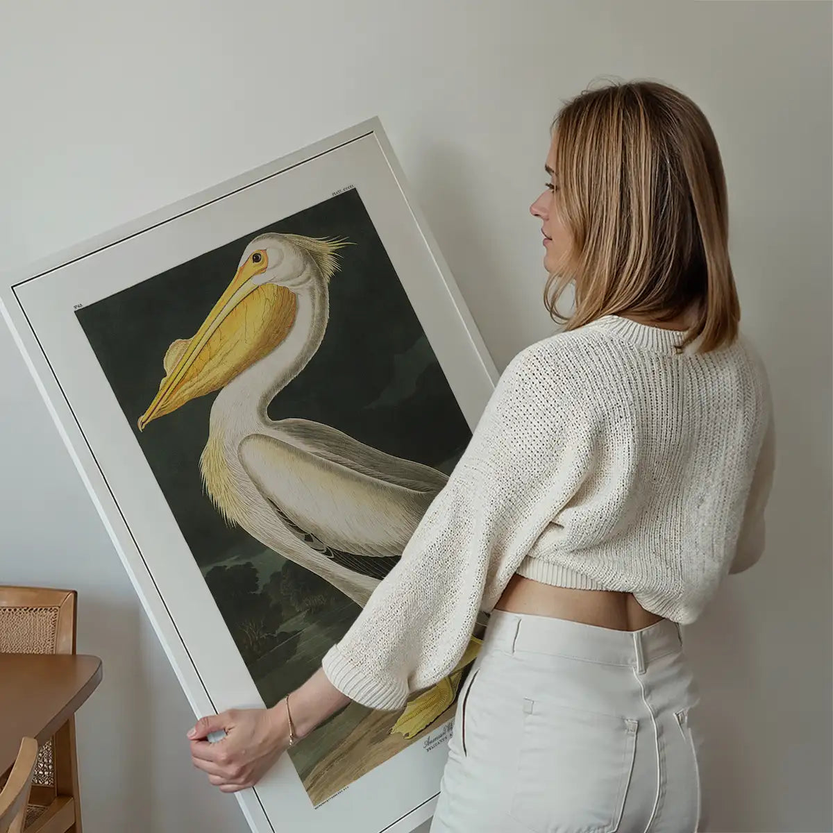 American White Pelican Vintage Antique Bird Print