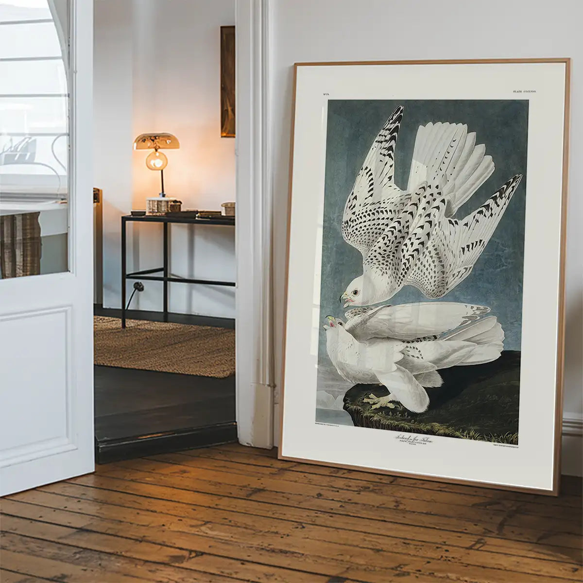 Iceland Falcon Vintage Antique Bird Print