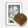 Oak Wood Frame