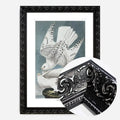 Black Ornate Frame