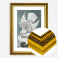 Gold Ornate Frame