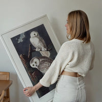 Snowy Owl Vintage Antique Bird Print