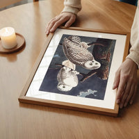Snowy Owl Vintage Antique Bird Print