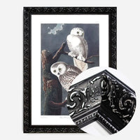 Snowy Owl Vintage Antique Bird Print