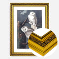 Gold Ornate Frame