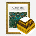 Gold Ornate Frame