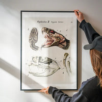 Vintage Snake Illustration Print