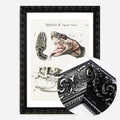 Black Ornate Frame