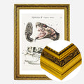 Gold Ornate Frame
