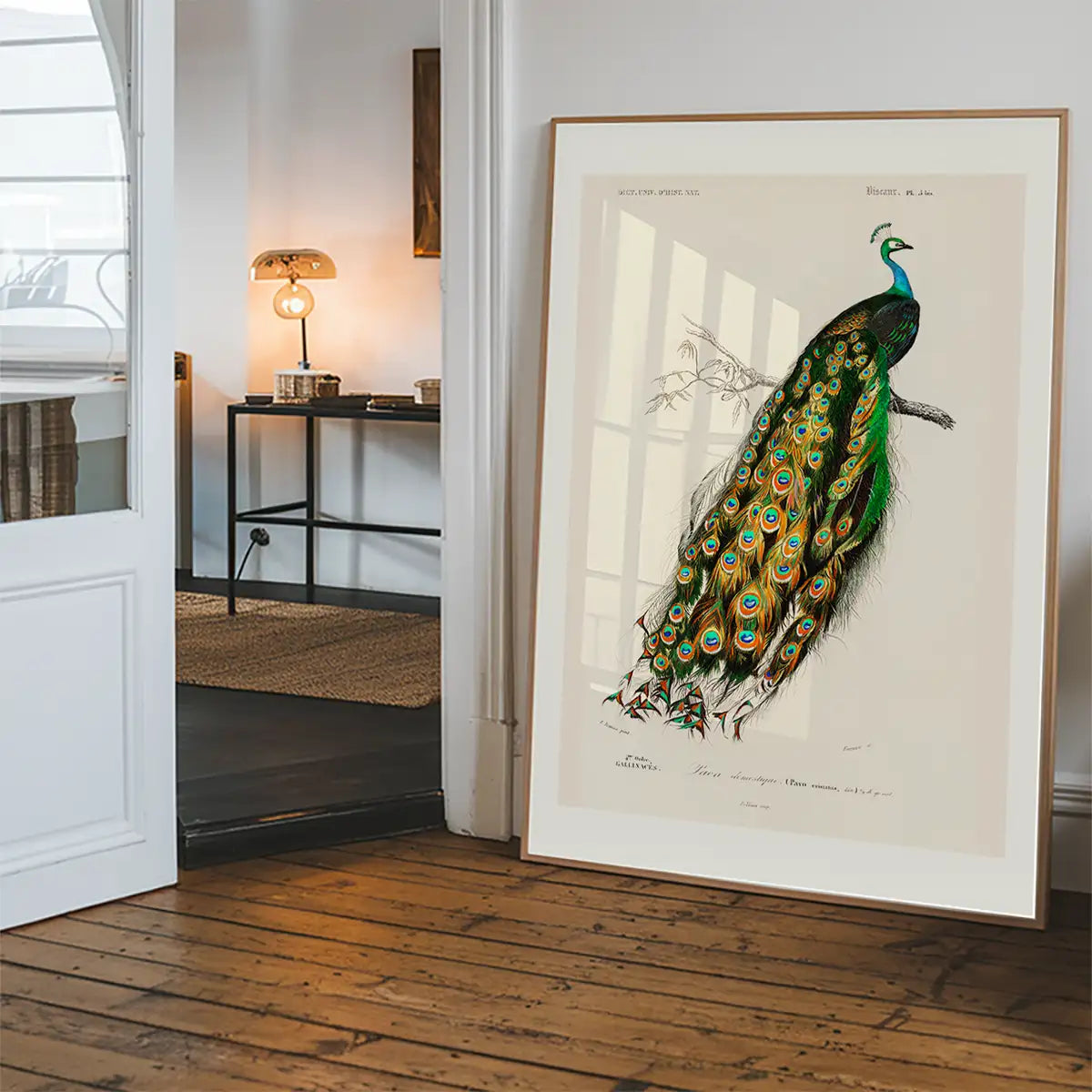 Peacock Vintage Bird Print