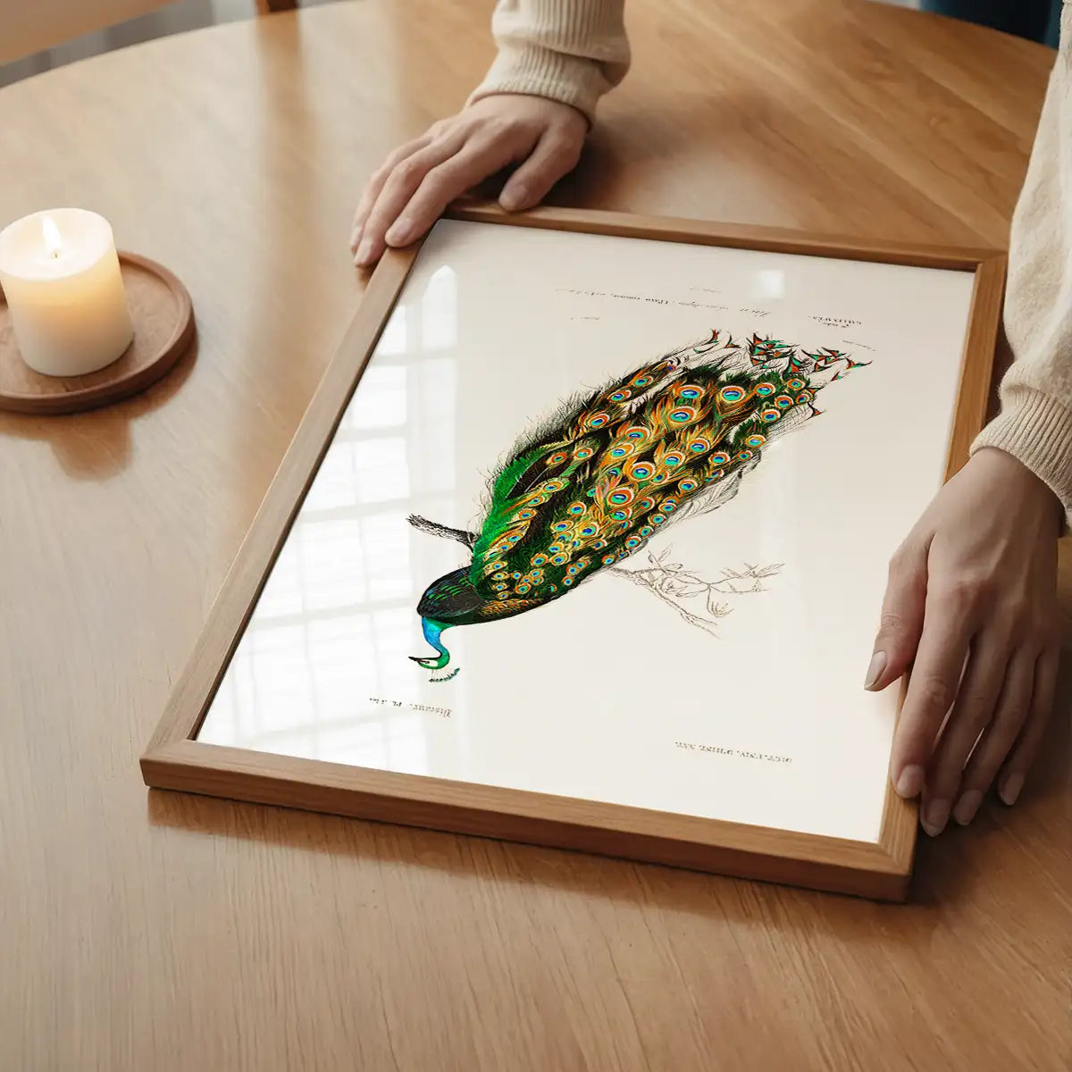 Peacock Vintage Bird Print