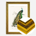Gold Ornate Frame