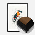 Black Wood Frame
