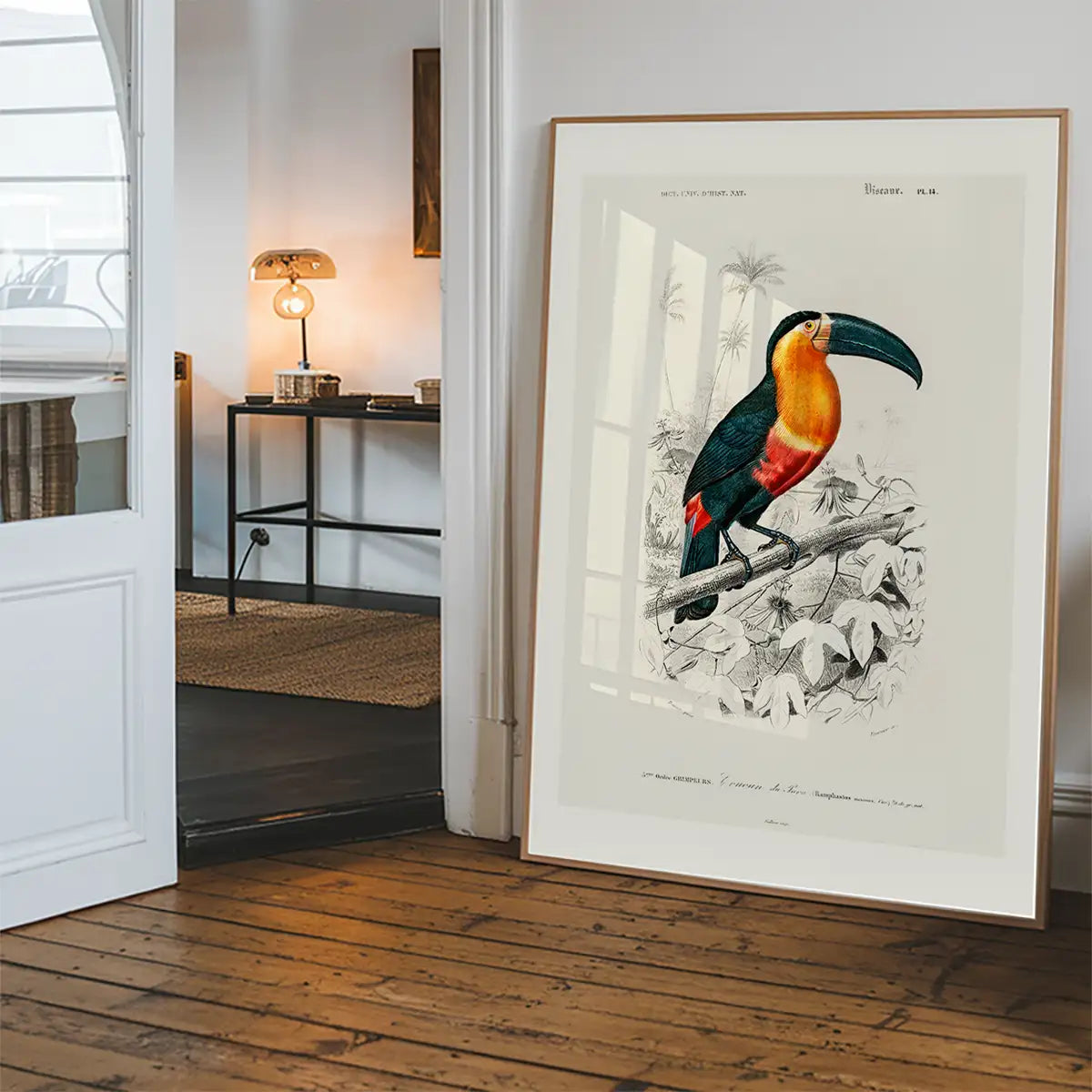 Toucan Vintage Bird Print