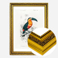 Gold Ornate Frame