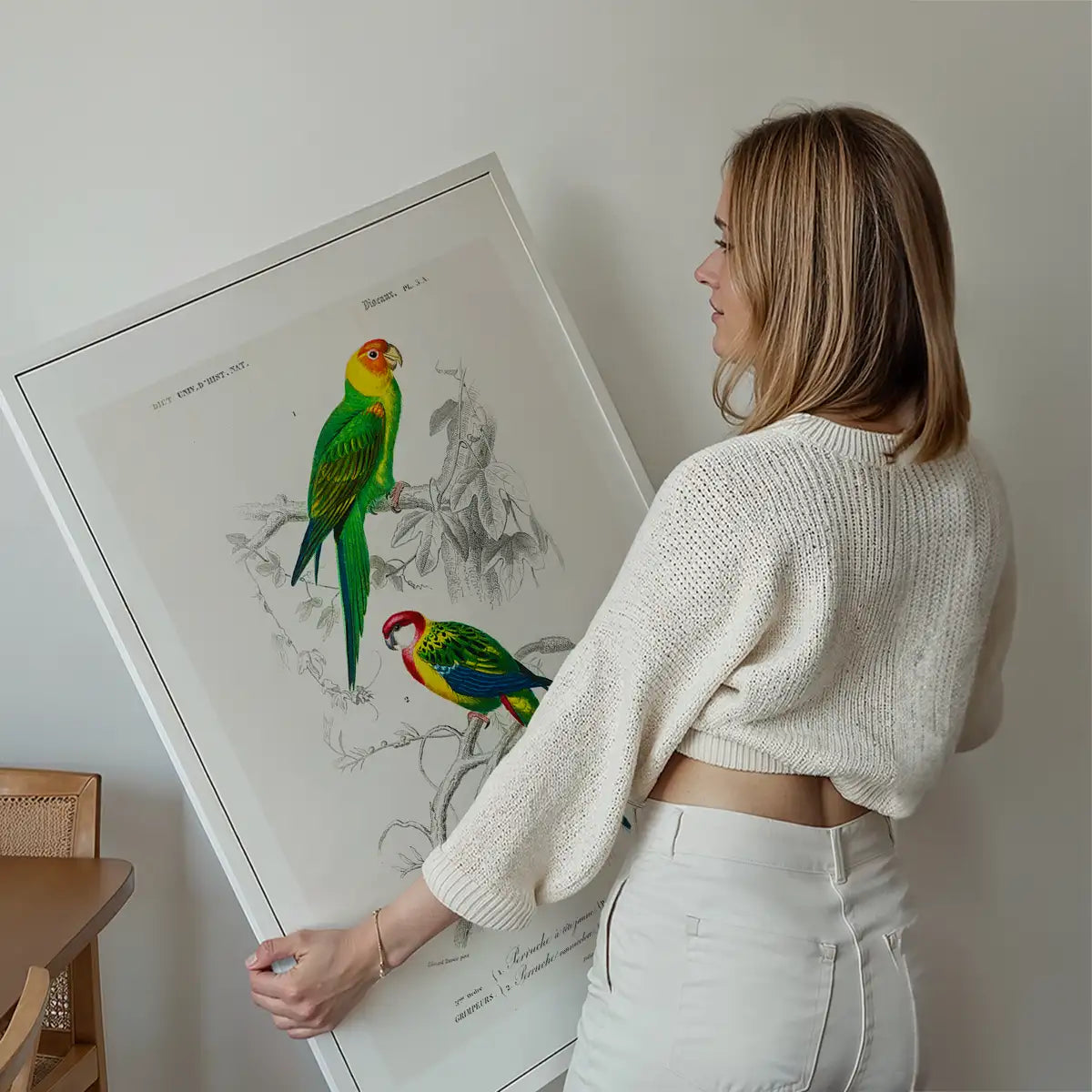 Parakeets Vintage Bird Print
