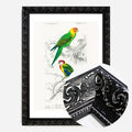 Black Ornate Frame