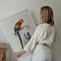 Parrot Vintage Bird Print