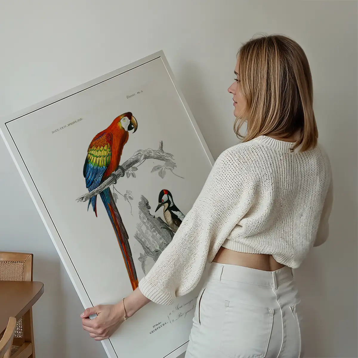 Parrot Vintage Bird Print