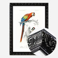 Black Ornate Frame