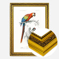 Gold Ornate Frame