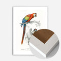 White Wood Frame