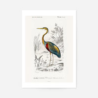 Heron Vintage Bird Print