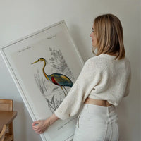 Heron Vintage Bird Print