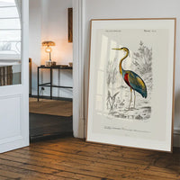 Heron Vintage Bird Print