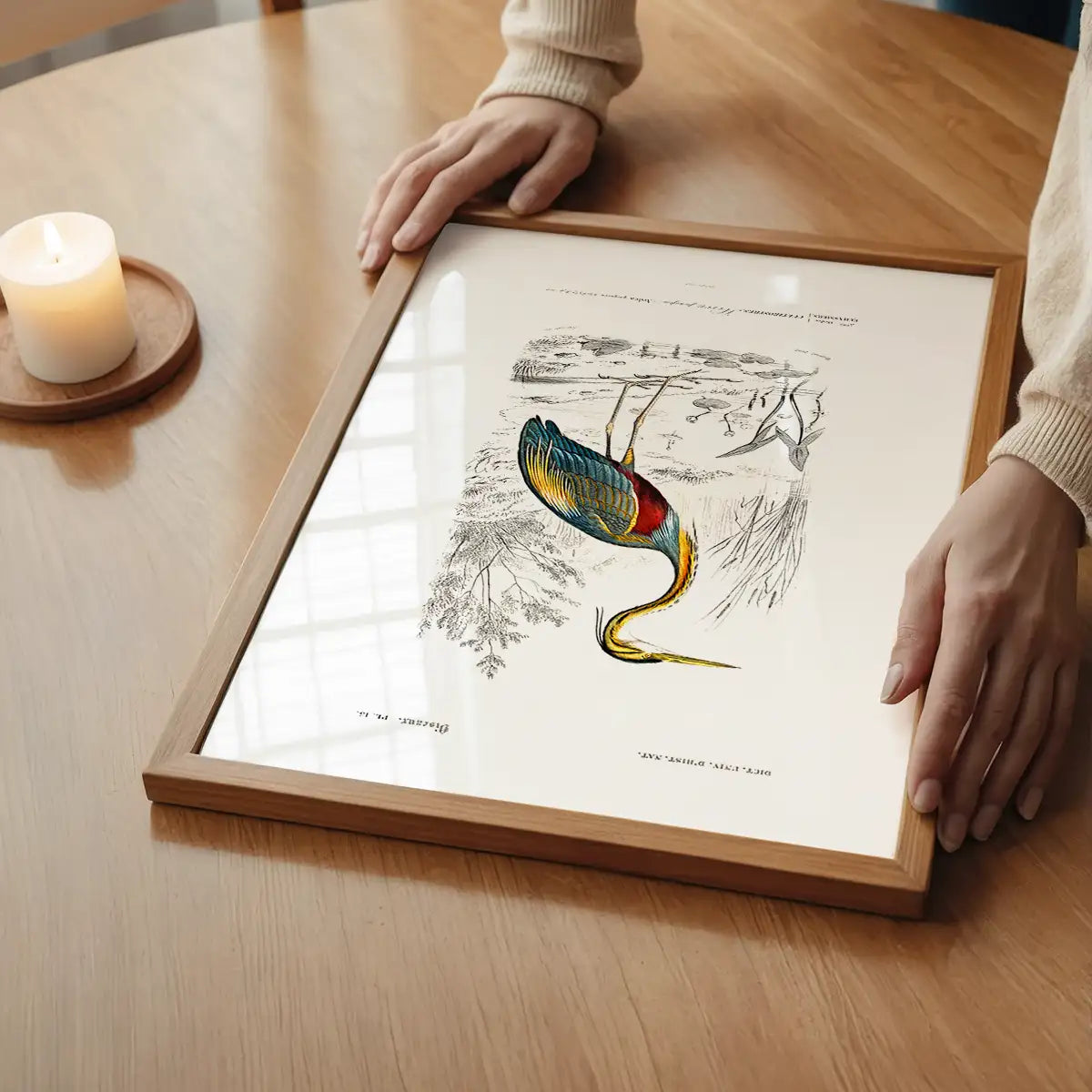 Heron Vintage Bird Print